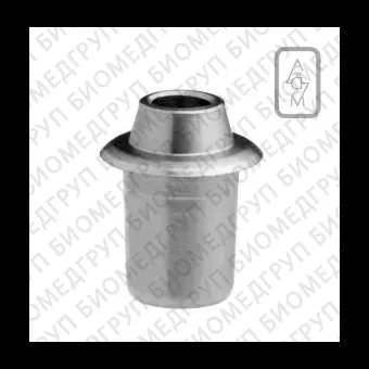 Straumann Bone Level 3,3 Cut