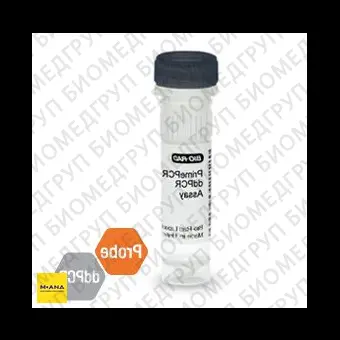 Набор BRCA2 CNV PrimePCR ddPCR, 200 реакций, BioRad, 1863305