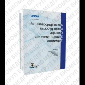 Иллюстрированный англорусский словарь эндодонтических терминов