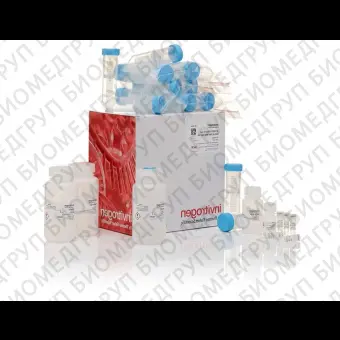 Набор JetQuick Blood and Cell Culture DNA Maxiprep Kit, Thermo FS, A30706, 50 выделений