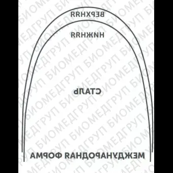 Дуги ортодонтические международная форма нижние INT NiTi TA L .014x/.025/.36x.64