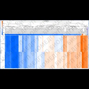 Панель для профилирования миРНК, Multiplex miRNA Assay Cardiology Panel  Circulating, Abcam, ab204063, 96 тестов