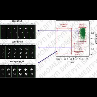 Проточный цитофлуориметр, до 7 лазеров, до 20 флуоресцентных параметров, с визуализацией, Amnis CellStream, Luminex, CS100196