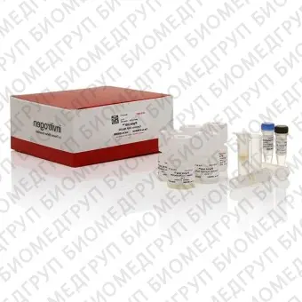 Набор для выделения ДНК, PureLink Genomic DNA Mini Kit, Thermo FS, K182002, 250 выделений