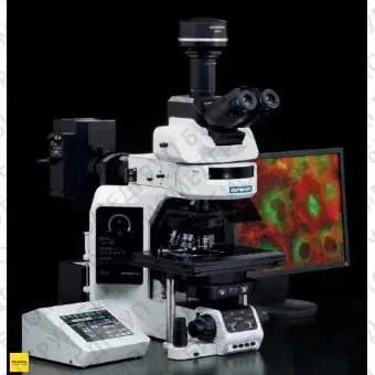 Микроскоп BX63, прямой исследовательский, Olympus, BX63