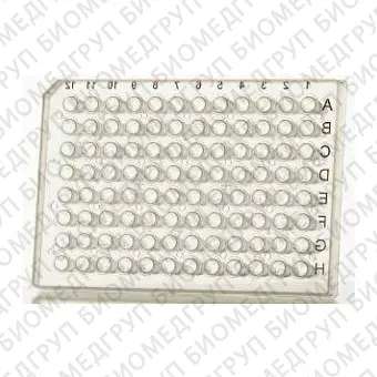 Микропластина для PCR ECPCR0750C, ECPCR0740C