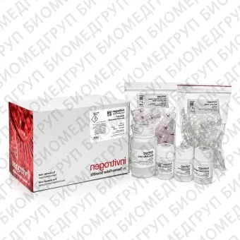 Набор PureLink PCR Purification Kit, Thermo FS, K310002, 250 выделений