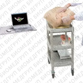 Медицинский симулятор для оказания гинекологических услуг LM095N
