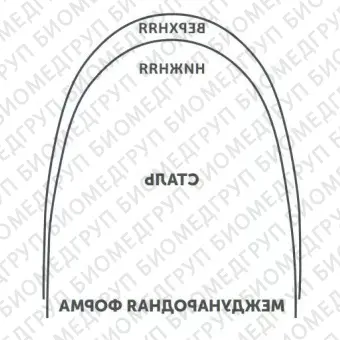 Дуги ортодонтические международная форма Нержавеющая сталь для нижней челюсти SS L .017x.025/.43x.64