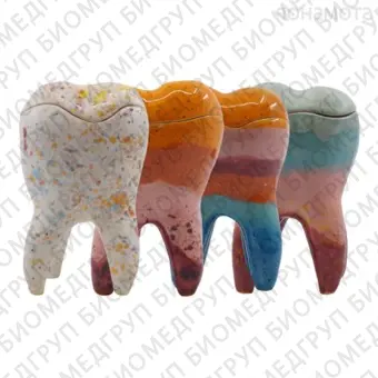 Декоративный зуб из керамики с крышкой, средний, цветной