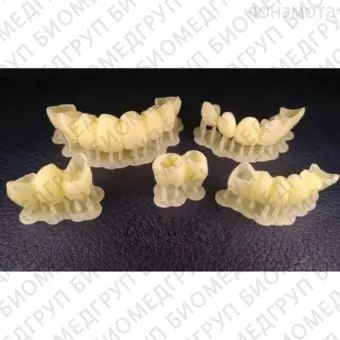 Phrozen Shuffle 2019  3Dпринтер для стоматологии