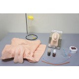 Медицинский симулятор для оказания гинекологических услуг M200-6