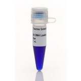 Краситель для нанесения на гель RNA Gel Loading Dye, 2Х, Thermo FS, R0641, 1 мл