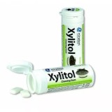 Miradent Xylitol Chewing Gum Spearmint - жев.рез. со вкусом мяты, 30 шт/ 30 г