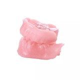E04G сменные десны для фантомной челюсти эластичные розовые