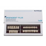 Spofadent Plus (А2) 62-0/11-1/62