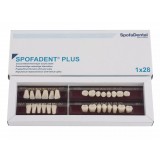 Spofadent Plus (D2) 1/23-0/7-1/60