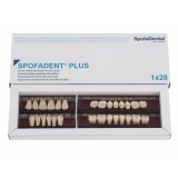 Spofadent Plus (С3) 59-0/8-77N