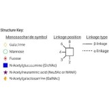 AdvanceBio 2-AB G0-N/A1 N-гликановый стандарт (ранее ProZyme)