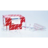 Набор RNeasy Plus Mini Kit для выделения тотальной РНК(50 реакций)