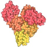 Альбумин бычий сывороточный, фракция V, H-A9647(100 г)