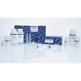 Набор QIAGEN Plasmid Plus Mega Kit для выделения плазмидной ДНК(5 реакций)