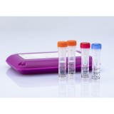 Набор реагентов virotype® CSFV для обнаружения вируса КЧС методом Real-Time PCR(96 реакций)